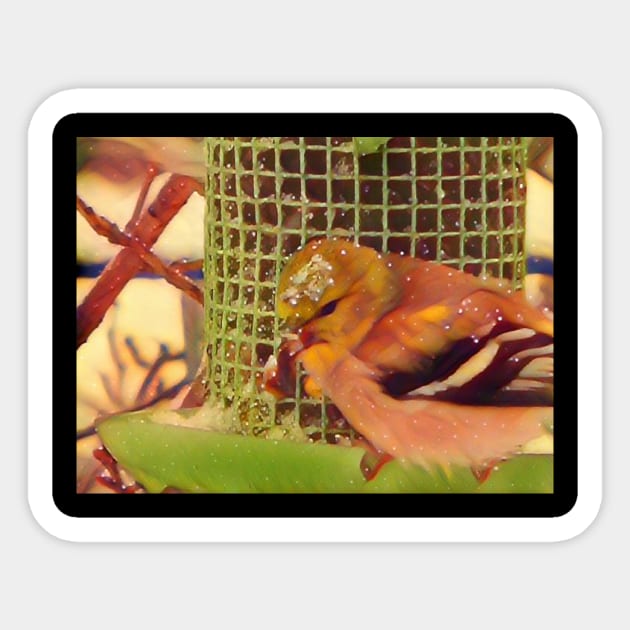 Pretty bird on bird feeder Sticker by PandLCreations